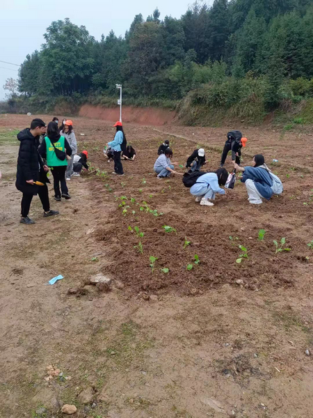 邵陽市華龍中學(xué),邵陽中學(xué)教育,高中教育,師資雄厚,名優(yōu)教師 邵陽市華龍中學(xué),邵陽中學(xué)教育,高中教育,師資雄厚,名優(yōu)教師