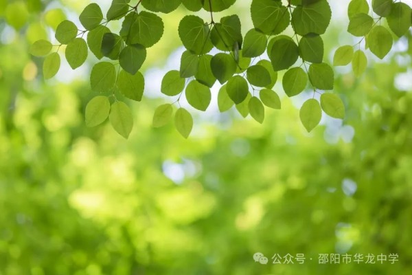 邵陽市華龍育英高級(jí)中學(xué)有限公司,邵陽中學(xué)教育,高中教育,師資雄厚,名優(yōu)教師